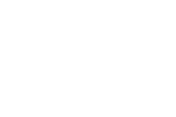 Open World Animation Festival